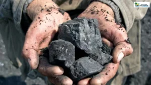 Severe Coal Shortage Hits 59 Thermal Power Plants as Power Demand Rises; Keralam Consumption Breaks Record