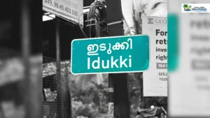 Idukki Tragedy: One-Year-Old Twin Brothers Die After Suspected Chemical Consumption