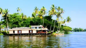 Kerala Trip: Explore Munnar, Thekkady, Alleppey and Varkala in 7 Days on a ₹20,000 Budget