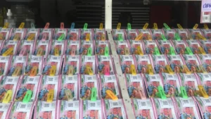 Kerala Lottery
